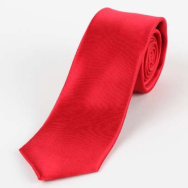 James Adelinis Pure Silk Tie